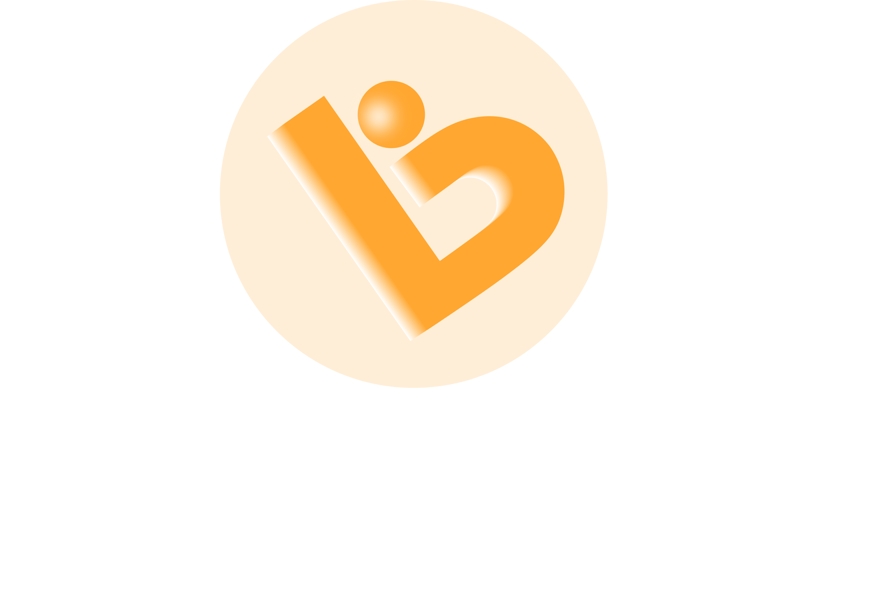 VolleyBolley Logo